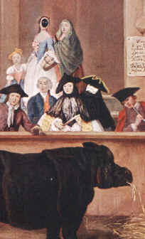 Pietro Longhi (Palazzo Rezzonico)