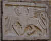 lion_1.jpg (46315 octets)