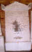 Q81a.jpg (256392 octets)